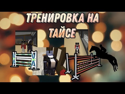 Видео: 💚тренировка с Тайсом 💚 конкур 💚 новая постройка 💚