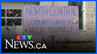 North Central Community Gardens brings people together | Indigenous Circle – Aug. 12, 2025
