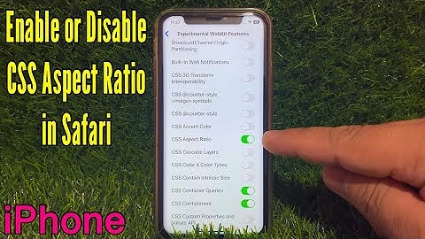 How to Enable or Disable CSS Aspect Ratio in Safari on iPhone X