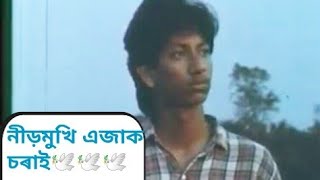 Download lagu Nirmukhi Ejak Chorai Uri Jai Aakash Xuwai Assamese song,(Relor Ali Dubori Bon (1993) Rupak Gogoi