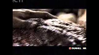 Download lagu RCTI Dunhill Mild 22 18