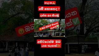 සද ස.. ඔබ මතන වද පදගන තම දව හමදරව වදනට යනන ගයප කටවත වරදන න