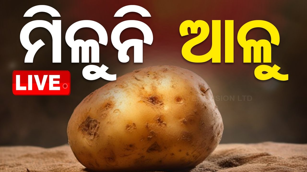 Live | ମିଳୁନି ଆଳୁ | Potato Shortage In Odisha