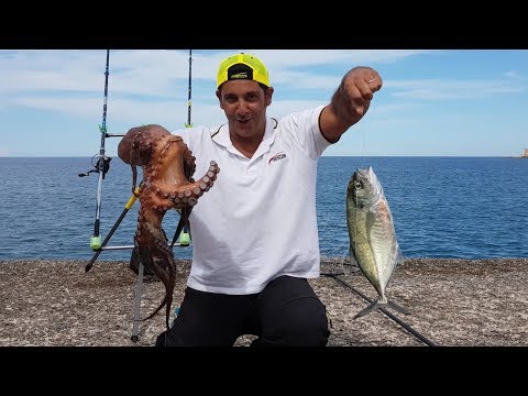 Video: Alla Ricerca Della Pesca In Mare Aperto In Indonesia