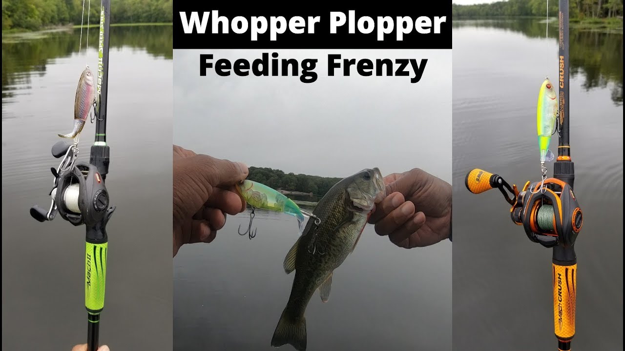 INSANE TOP WATER FEEDING FRENZY {EPIC BASS FISHING BLOWUPS at Burke Lak} Pt. 1
