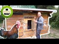 Hühnerstall selber bauen aus Holz | Clevere Ideen für kleines Geld 🐔