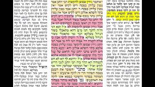 דף יומי מסכת פסחים דף פד Daf yomi Pesachim daf 84 לזיווג הגון שמואל בן אילנה.