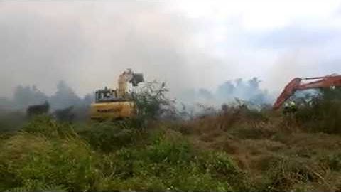 12868013 491733757685234 1472575271 n