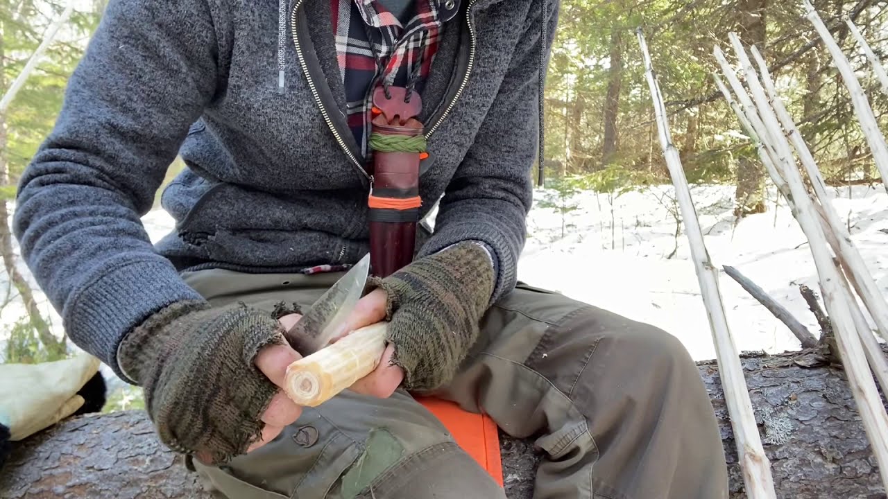 Roycraft emergency skishoes