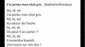 J Ai Perdu Mon Chat Gris Youtube J Ai Perdu Mon Chat Gris Youtube
