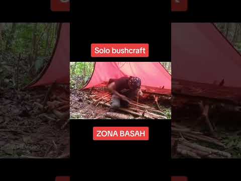 Bushcraft Zona Basah ASMR #outdoors #forest #bushcraft #asmr #shorts
