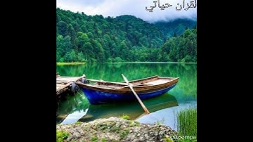 2264_سورة الهمزة / هيثم الدخين.﴿ وَيْلٌ لِّكُلِّ هُمَزَةٍ لُّمَزَة ﴾