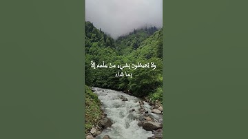 #اية_الكرسي #سورة_البقرة #اكسبلور #تلاوة_هادئة #explore #قرآن_كريم #لايك #holy_quran #ترند #quran