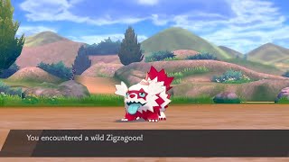 Shiny Galarian Zigzagoon!