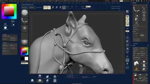 Making a horse In Zbrush- Horse Time Lapse part one