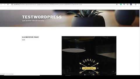 How to Enable AMP on Elementor (One Click Solution)