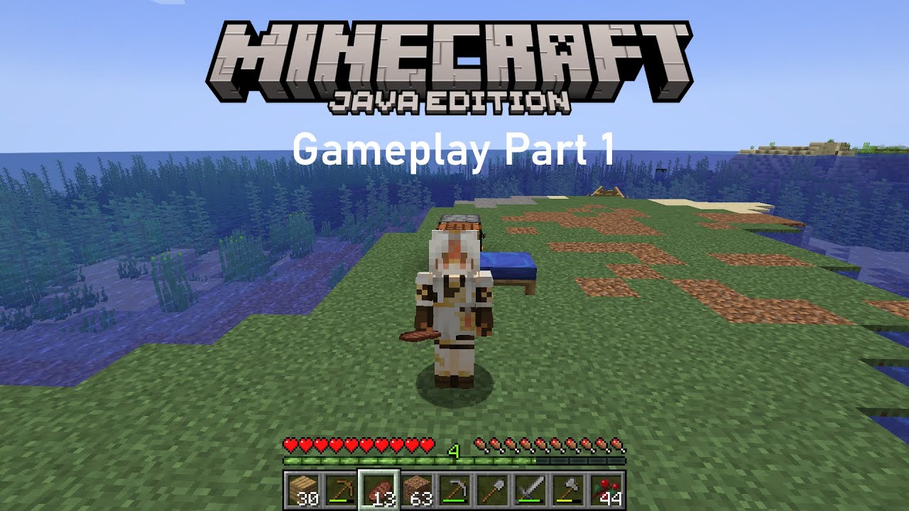 Minecraft Java Edition Gameplay: Part 1 (Surviving the first three days ...