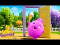 SUNNY BUNNIES - Mystery Door | Season 1 | Cartoons for Children