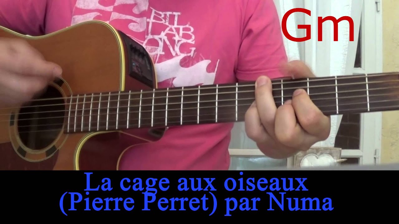 La Cage Aux Oiseaux Pierre Perret Reprise A La Guitare Avec Accords 1987 Youtube