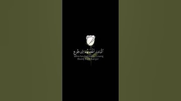 شاشه سوداء)قران كريم☘️القارئ اسلام صبحي❤️سورة قريش☘️حألات-ستوريات سلاميه☘️