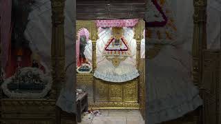 Baba #khatu #khatushyamji #trending #jaishreeshyam #shyambaba #newvideo #shorts #shortvideo #shyam