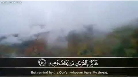 تلاوة ندية من سورة الرحمن للشيخ محمد صديق #المنشاوي رحمه الله