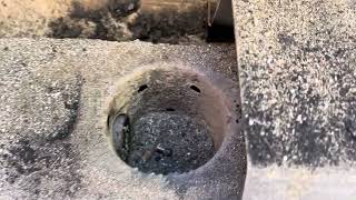 Deep Clean For Pit Boss Austin XL by This Grill Life 595 views 4 months ago 5 minutes, 40 seconds