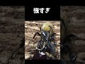 ヘラクレスオオカブトvsアクティオンゾウカブト