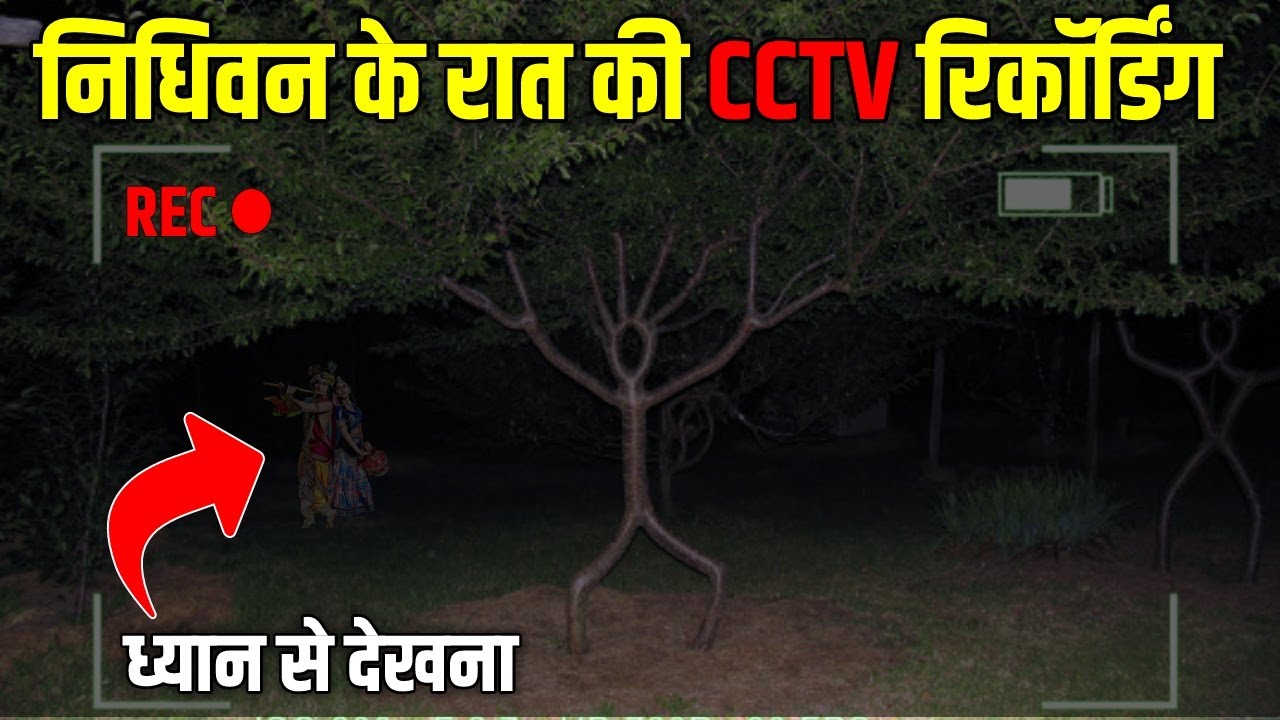 Nidhivan Vrindavan Night CCTV Recording        Nidhivan Night CCTV Video