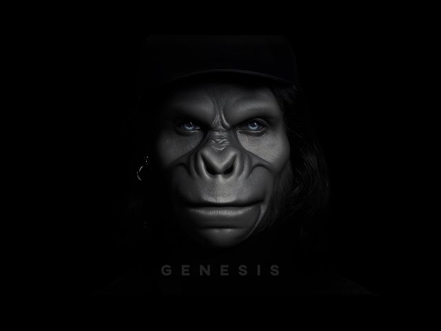 KID NOIZE : Genesis