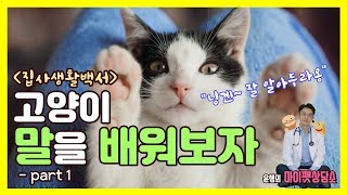 Let's learn the languages of cats. vol.1