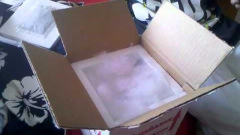 Carpet Python Unboxing (part 1)