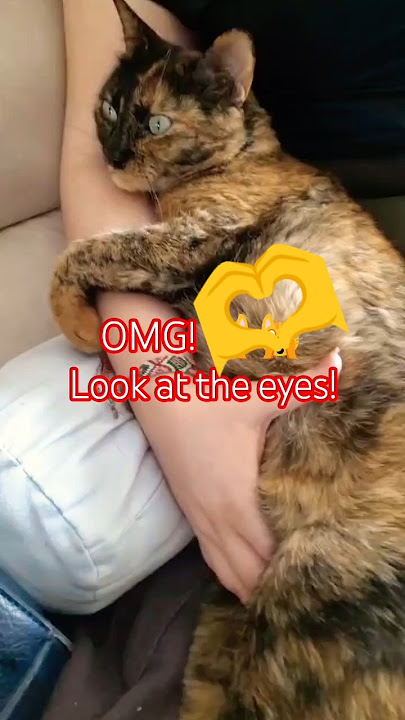 Nala Loves You! 😻😻