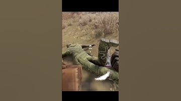 Grubbing A Raid #rust #rustgood