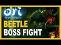 ORI AND THE WILL OF THE WISPS - BEETLE fight | Second boss