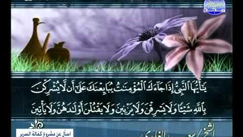 سورة الحشر 11 الى الصف 14 ـــ سعد الغامدى