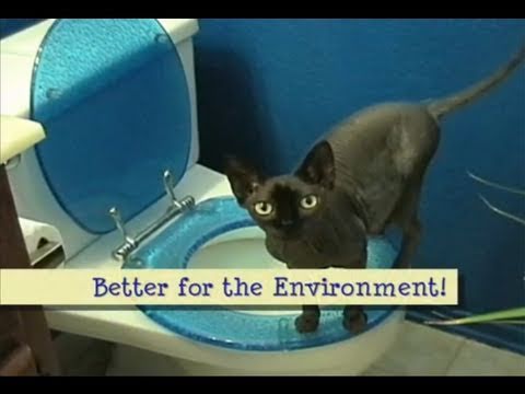 How to Toilet Train Your Cat