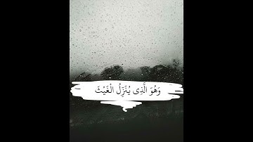 وَهُوَ الَّذِي يُنَزِّلُ الْغَيْثَ مِن بَعْدِ مَا قَنَطُوا • ياسر الدوسري • سورة الشورى