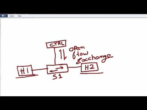 SDN Basic Mininet Topology with Wireshark Capture