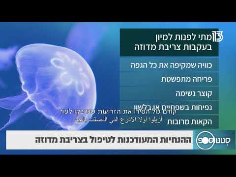 וִידֵאוֹ: האם ללכת לבית החולים לעקיצת מדוזה?