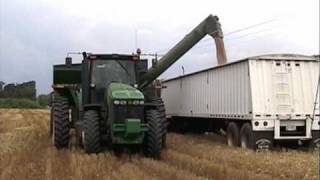 Counts Family Grain Cutting Wheat 2