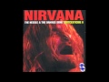 Nirvana - Been a Son (Acoustic Live) [Lyrics]