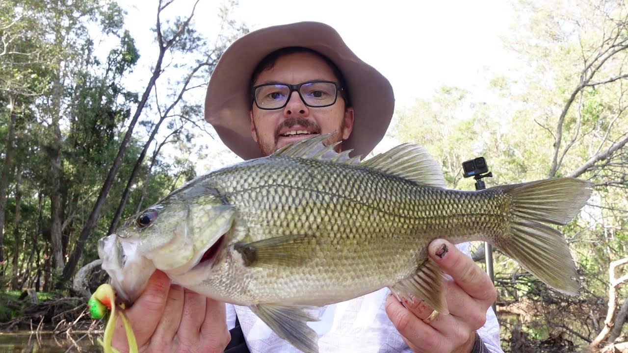 THE BASS BITE BACK