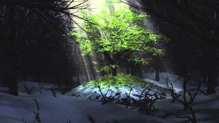 三寸天堂 Silver Paradise /  Three Inches of Heaven - Yili Wang Cover