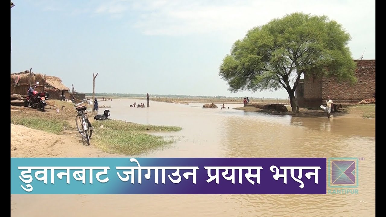 बाँकेको पूर्वी सीमाका सयौं बासिन्दा डुबानबाट विस्थापित हुने अवस्थामा | Kantipur Samachar news headlines uk