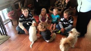 Ella and her cousins