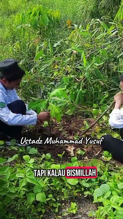 Doa Menanam Pohon Ustadz Muhammad Yusuf #fypyoutube #ustadzmuhammadyusuf #doa #tanampohon