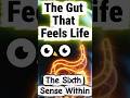86. The Sixth Sense Within 🌌💫 The Gut That Feels Life