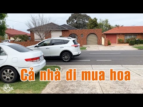 Video Cả nhà lên xe rong chơi mua hoa mua cây về trồng sân... - youtube