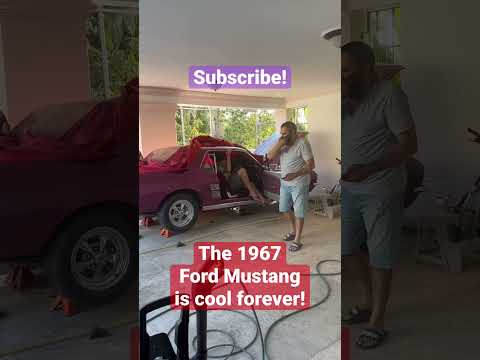The Ford Mustang